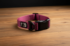 Urban Trail 1" Dog Collar