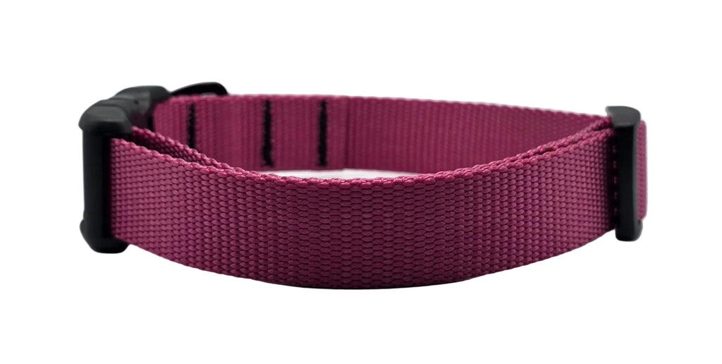 Urban Trail 1" Dog Collar