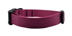 Urban Trail 1" Dog Collar