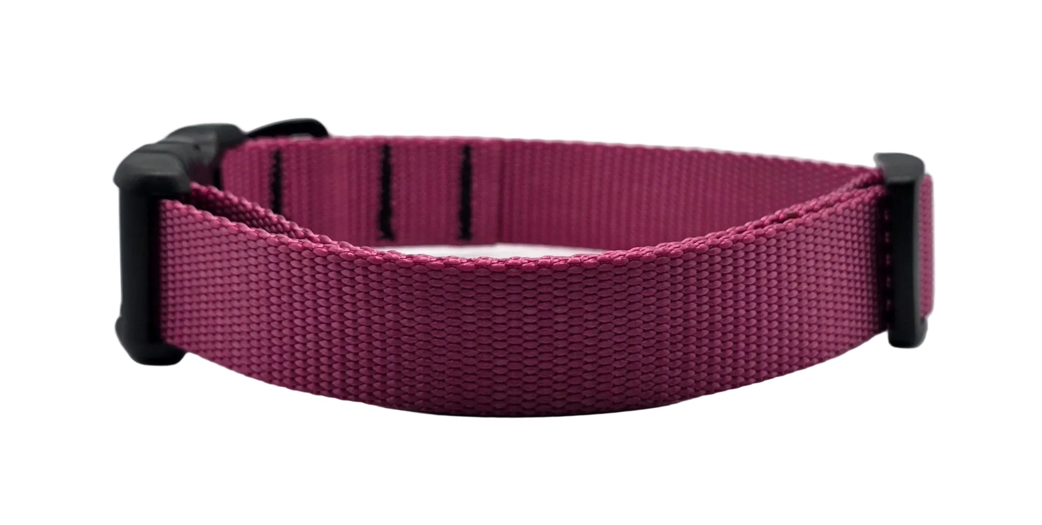 Urban Trail 1" Dog Collar