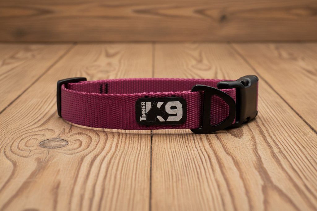 Urban Trail 1" Dog Collar