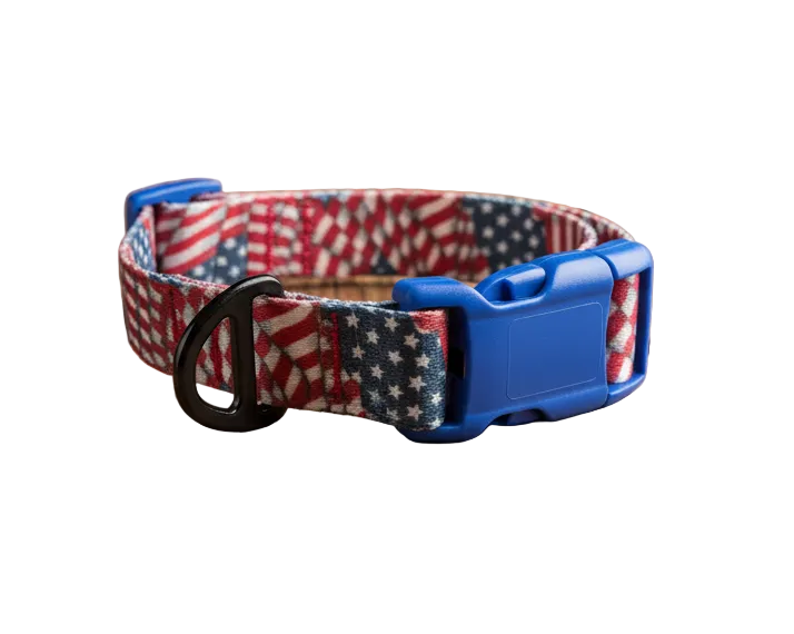 Urban Trail 1" Designer Patriotic Tribute Dog Collar