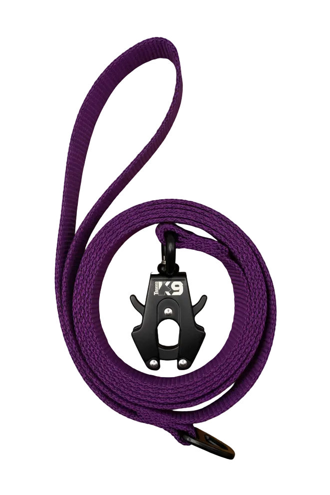 Backcountry Extreme Duty Dog Leash