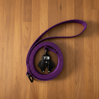 Backcountry Extreme Duty Dog Leash