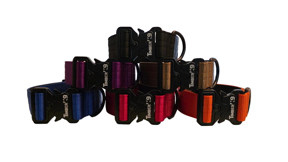 Backcountry Heavy Duty 1 1/2" Dog Collar