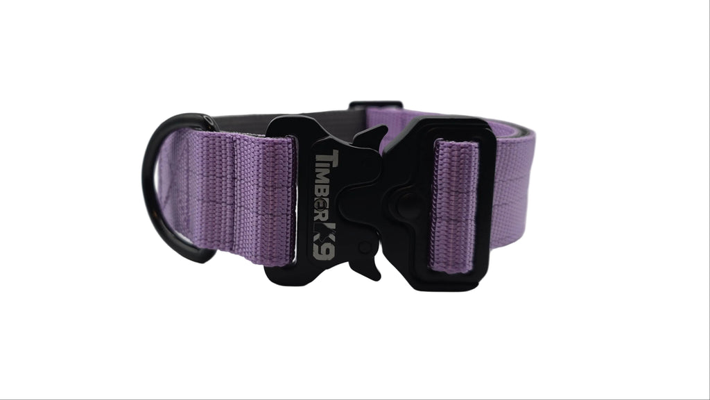 Backcountry Pastels Heavy Duty 1 1/2" Dog Collar