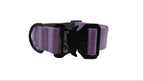 Backcountry Pastels Heavy Duty 1 1/2" Dog Collar