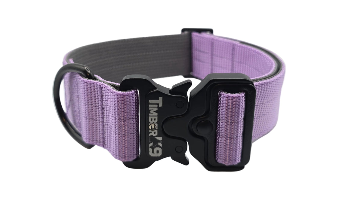 Backcountry Pastels Heavy Duty 1 1/2" Dog Collar