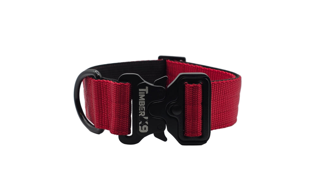 Backcountry Heavy Duty 1 1/2" Dog Collar