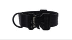 Backcountry Heavy Duty 1 1/2" Dog Collar