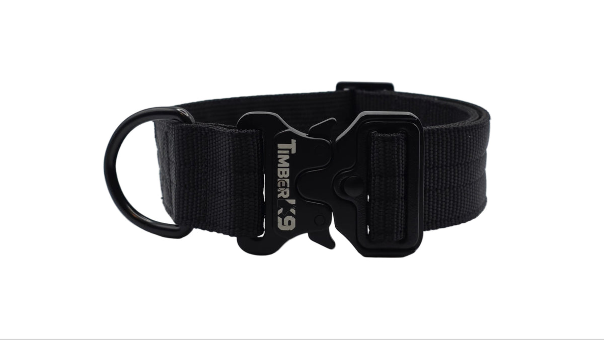 Backcountry Heavy Duty 1 1/2" Dog Collar