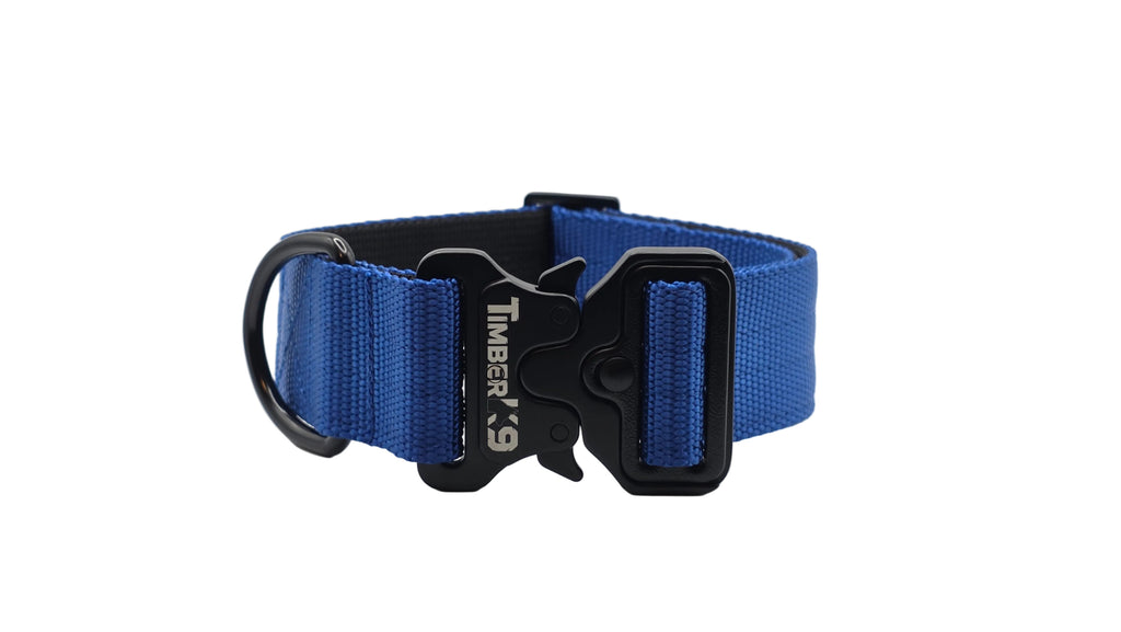 Backcountry Heavy Duty 1 1/2" Dog Collar