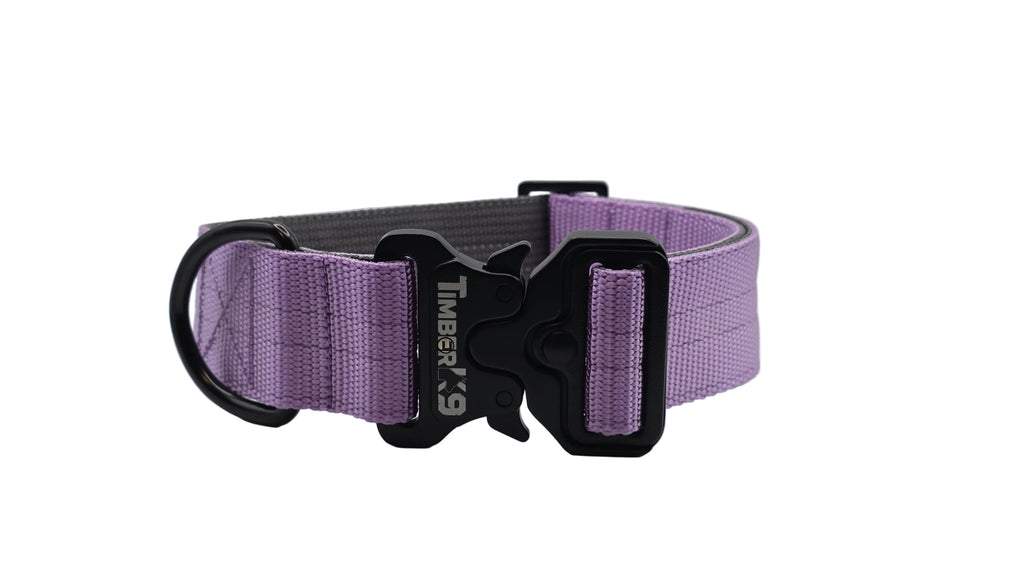Backcountry Heavy Duty 1 1/2" Dog Collar