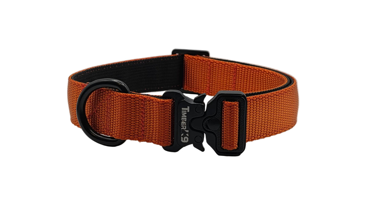 Backcountry Heavy Duty 1" Dog Collar