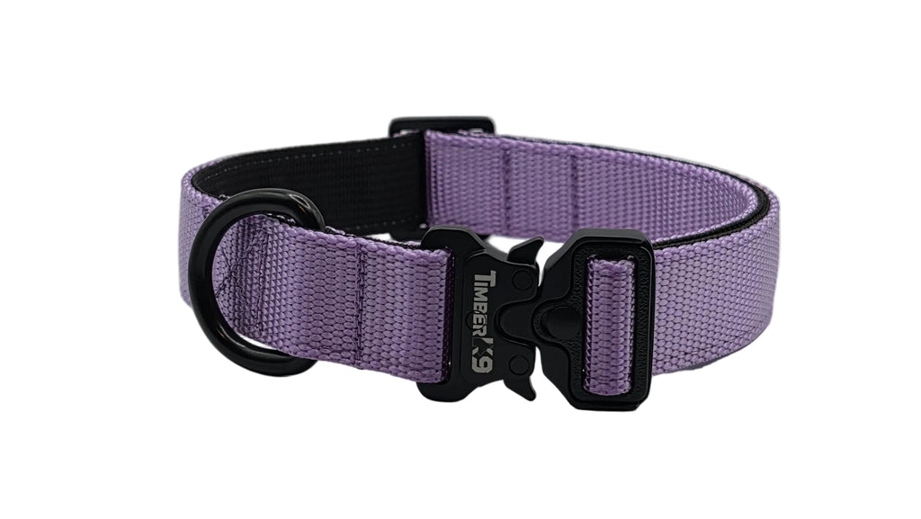 Backcountry Heavy Duty 1" Dog Collar