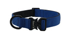 Backcountry Heavy Duty 1" Dog Collar