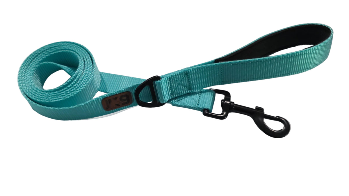 Backcountry Heavy Duty Dog Leash