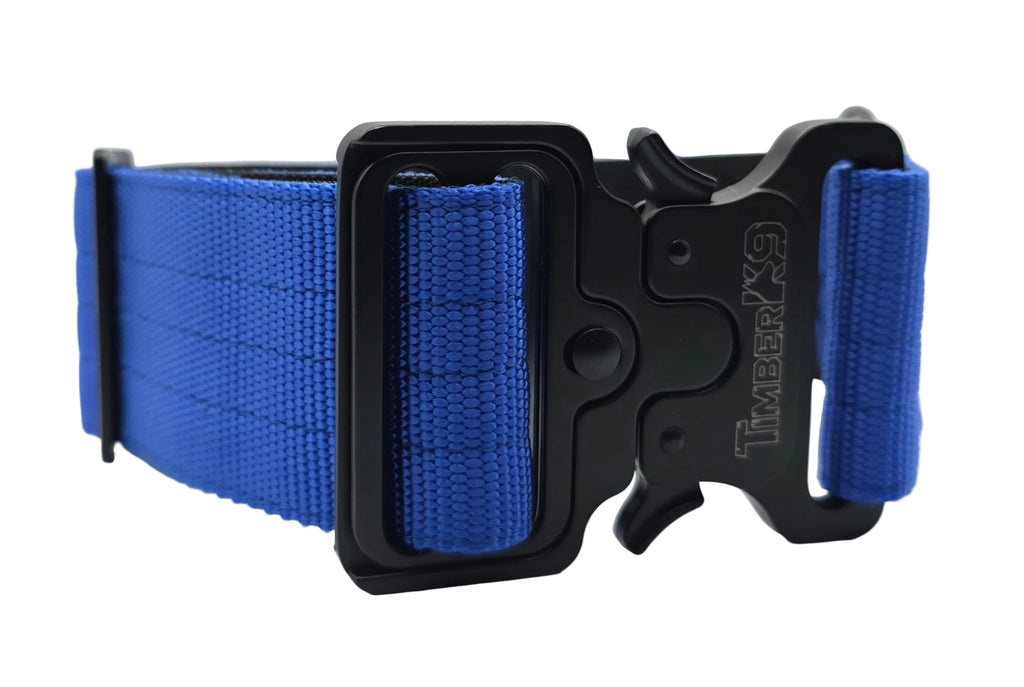 Backcountry Heavy Duty 2" Dog Collar