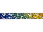 Urban Trail 1" Designer Dog Collar