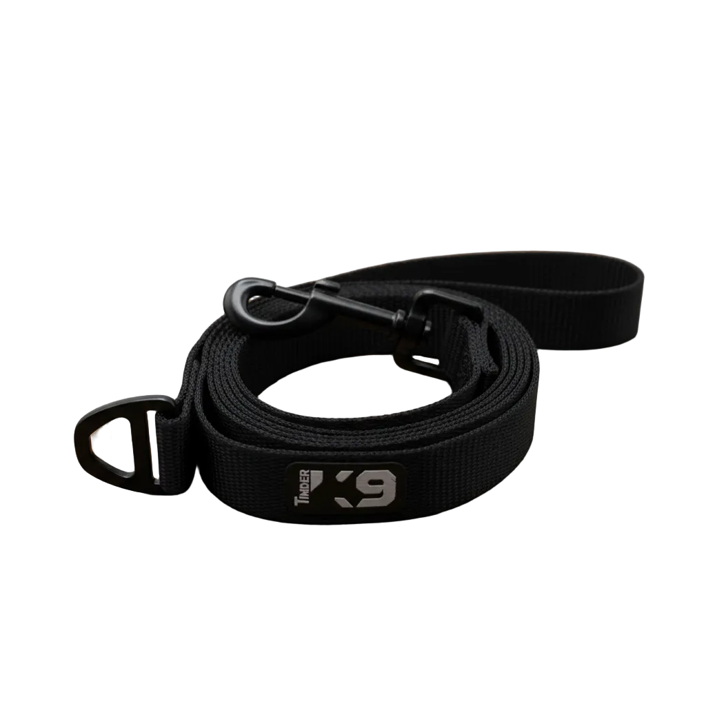 Backcountry Heavy Duty Dog Leash
