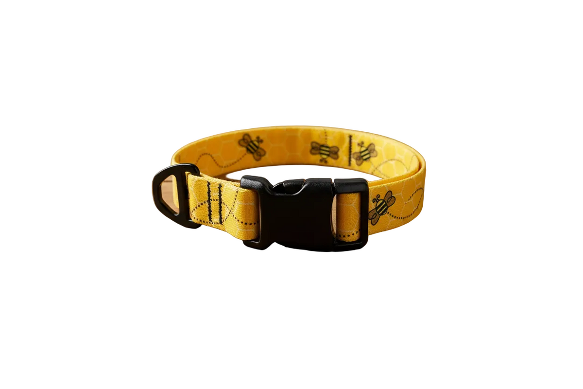 Urban Trail 1" Designer Busy Bee Dog Collar