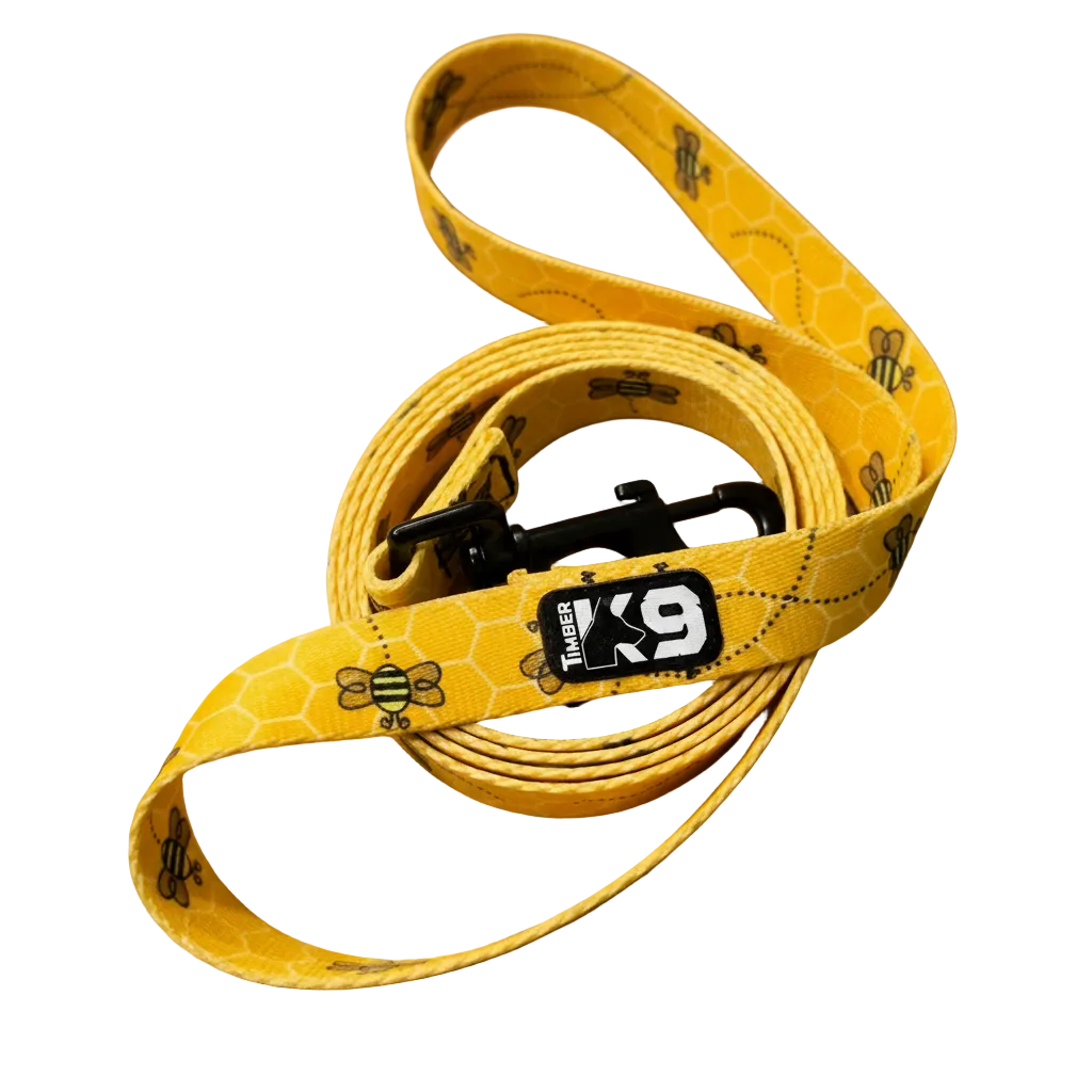 Urban Trail Designer Dog Leash