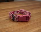 Urban Trail 1" Designer Pink Sharks Dog Collar