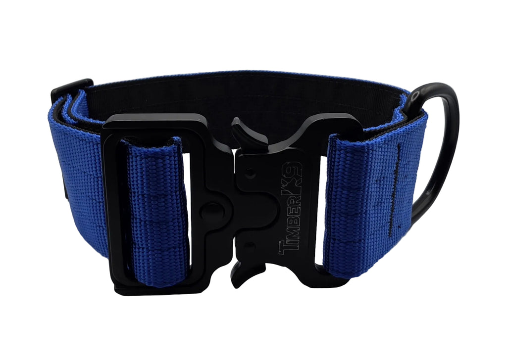 Backcountry Heavy Duty 2" Dog Collar