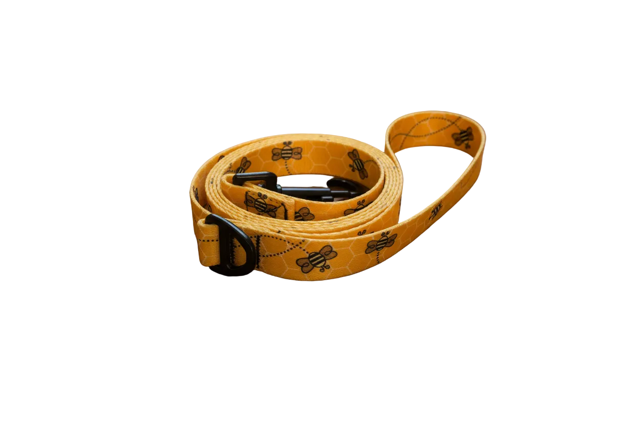 Urban Trail Designer Dog Leash