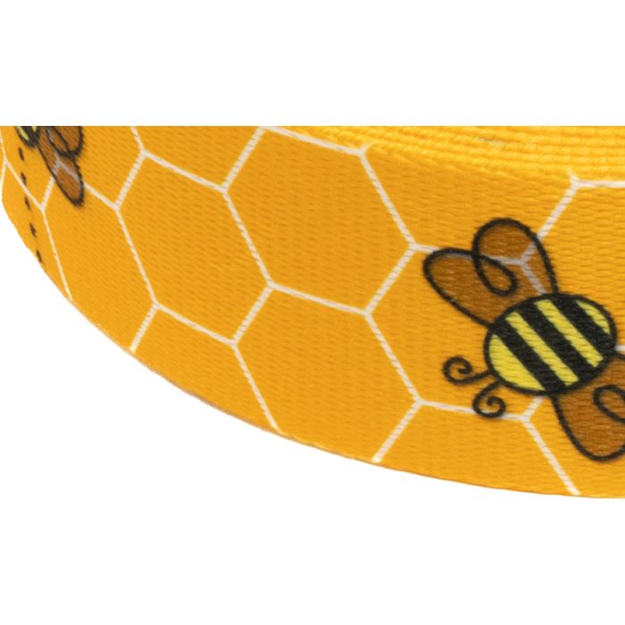 Urban Trail 1" Designer Busy Bee Dog Collar