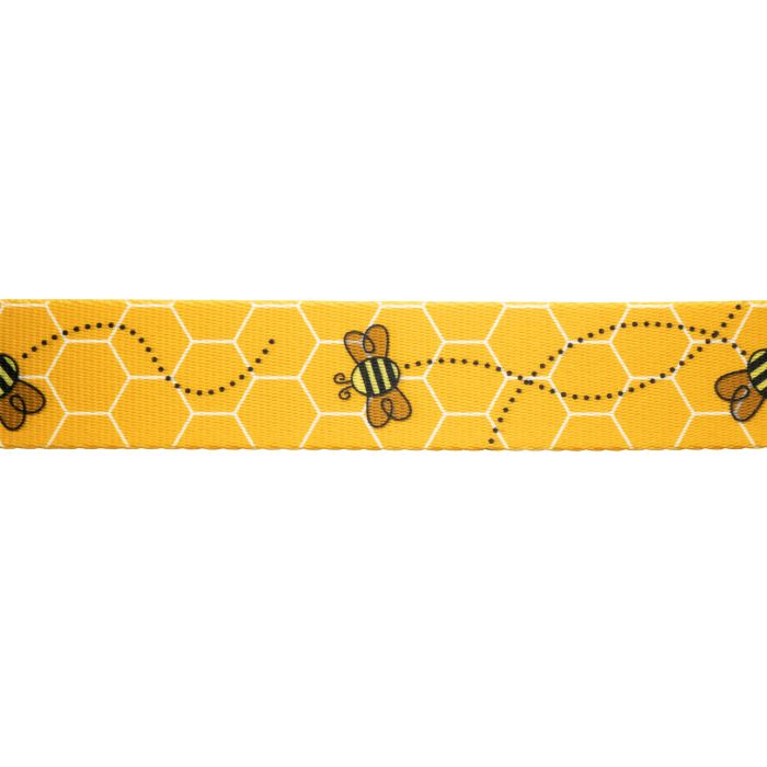 Urban Trail 1" Designer Busy Bee Dog Collar