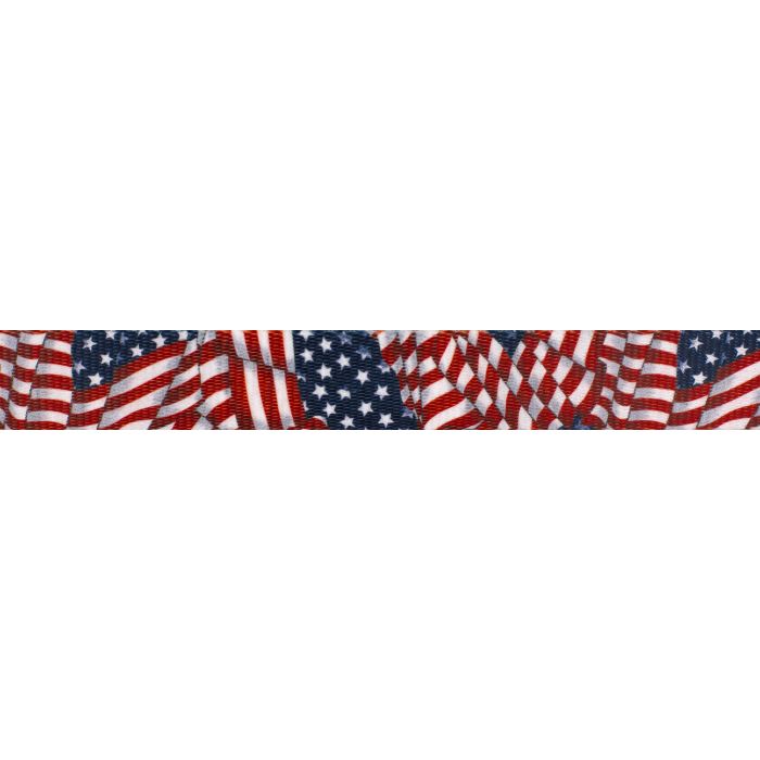 Urban Trail 1" Designer Patriotic Tribute Dog Collar