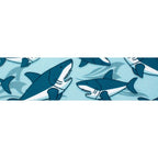 Urban Trail 1" Designer Sharks Dog Collar