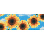 Urban Trail 1" Designer Sunflower Dog Collar