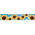 Urban Trail 1" Designer Sunflower Dog Collar